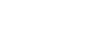 Castle Island partnership with Velocity Strength And Performance